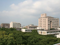 千葉大学