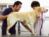 動物飼育・ケア学科