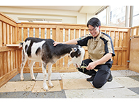 国際海洋・飼育学科