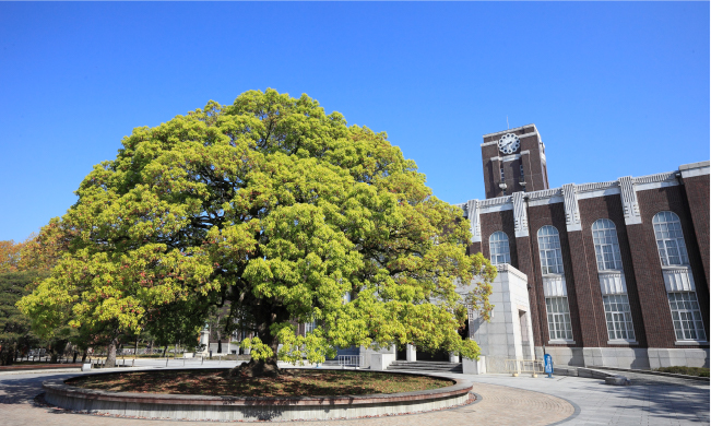 京都大学 画像