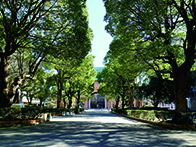 千葉商科大学