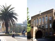 東京海洋大学