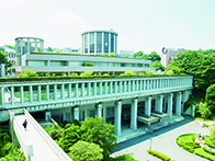 専修大学