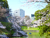 二松学舎大学