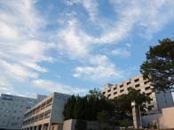静岡大学