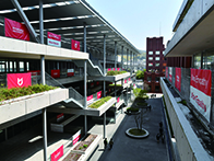 龍谷大学