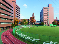 大阪国際大学