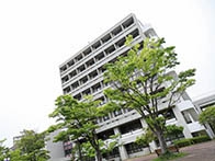 神戸 市 外国 語 大学