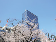 東京電子専門学校 基本情報 大学選び 大学 専門学校進学情報 エイビ進学ナビ 東京電子専門学校 基本情報 大学選び 大学 専門学校進学情報 エイビ進学ナビ