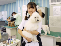 東北愛犬専門学校