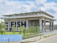 日本さかな専門学校