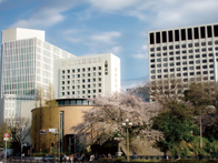 上智大学短期大学部