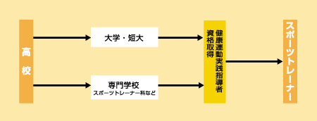 スポーツトレーナーになる