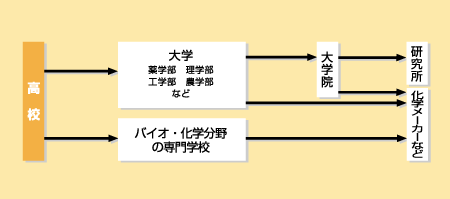 バイオ技術者になる