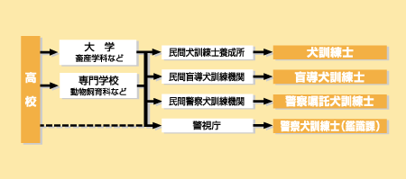 犬訓練士になる