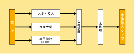 水族館スタッフになる 大学 専門学校進学情報サイト エイビ進学ナビ