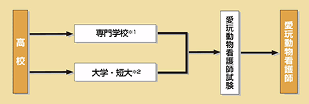 愛玩動物看護師になる