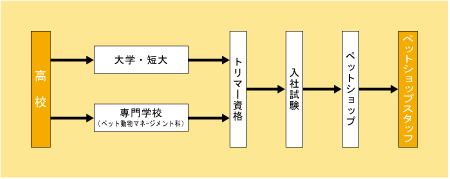 ペットショップスタッフになる