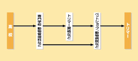 トリマーになる