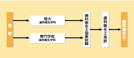 歯科衛生士になる