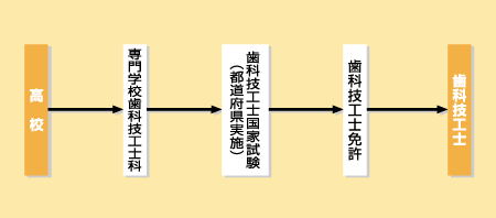 歯科技工士になる