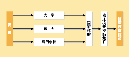 臨床検査技師になる