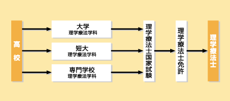 理学療法士になる