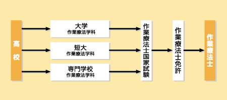 作業療法士になる