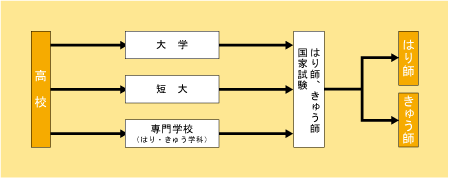 はり師、きゅう師になる