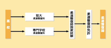 柔道整復師になる