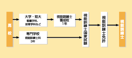 視能訓練士になる