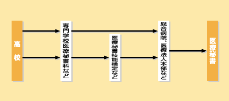 医療秘書になる