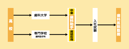 歯科助手になる