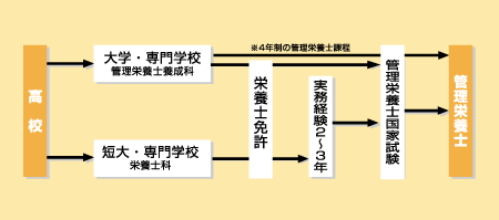 栄養士 管理栄養士になる 大学 専門学校進学情報サイト エイビ進学ナビ