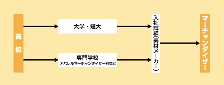 マーチャンダイザーになる