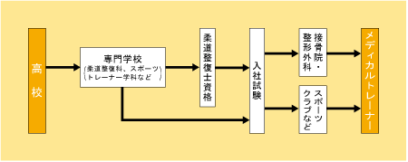 メディカルトレーナーになる